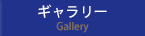 ギャラリー